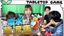 集体游戏成人桌游视频,成人桌游视频精彩回顾  第1张
