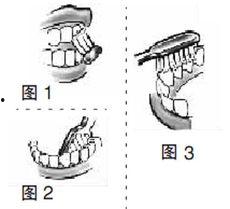 成人刷牙漱口视频,视频教学助您口腔健康  第1张