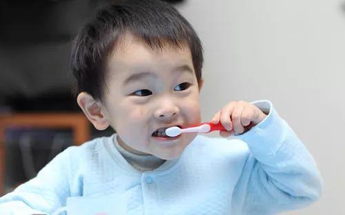 成人刷牙漱口视频,视频教学助您口腔健康  第2张