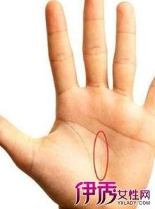 成人如何看掌纹图解视频  第2张