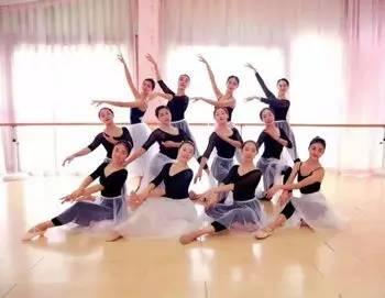 成人顶尖舞蹈视频教学,跟随专业舞者，解锁舞蹈技巧与魅力  第1张