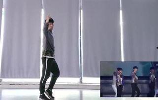 成人顶尖舞蹈视频教学,跟随专业舞者，解锁舞蹈技巧与魅力  第3张