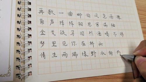 油笔字成人练字视频,轻松入门，提升书写魅力  第2张