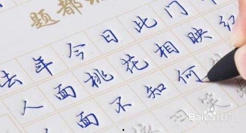 油笔字成人练字视频,轻松入门，提升书写魅力  第3张