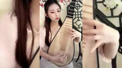 小朋友弹成人琵琶视频,小朋友弹奏成人琵琶的奇妙之旅  第2张