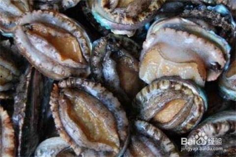 成人鲍鱼视频,成人视角下的鲍鱼养殖与烹饪揭秘  第1张